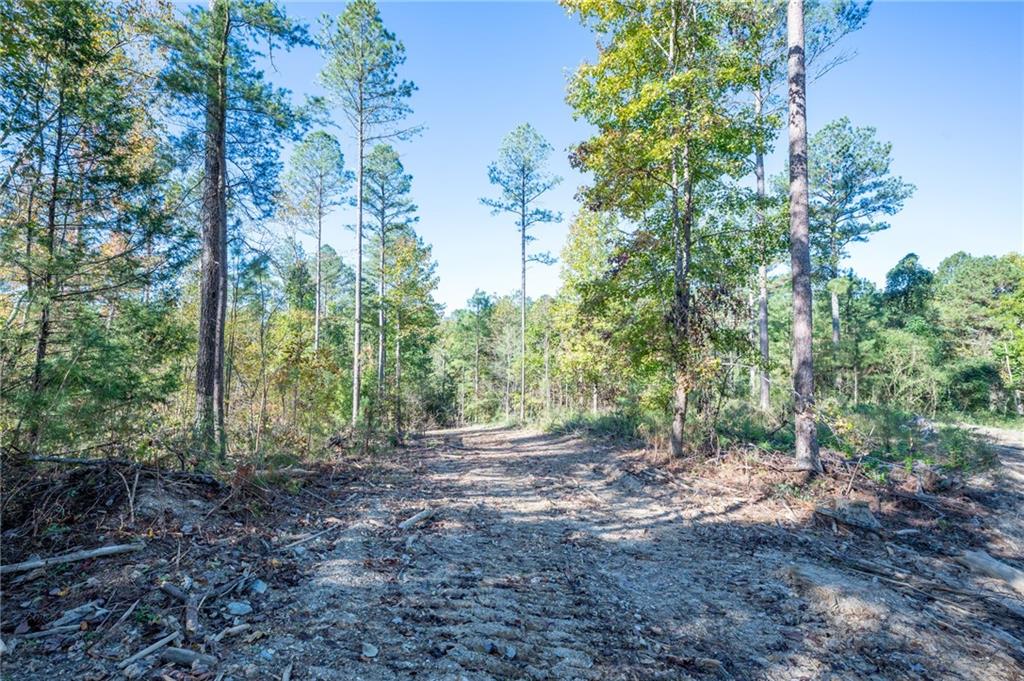 3863 Hwy 140 Ne Rydal Ga 30171 Northeast Rydal, GA 30171 - Photo 2 of 11 a view of a forest with trees