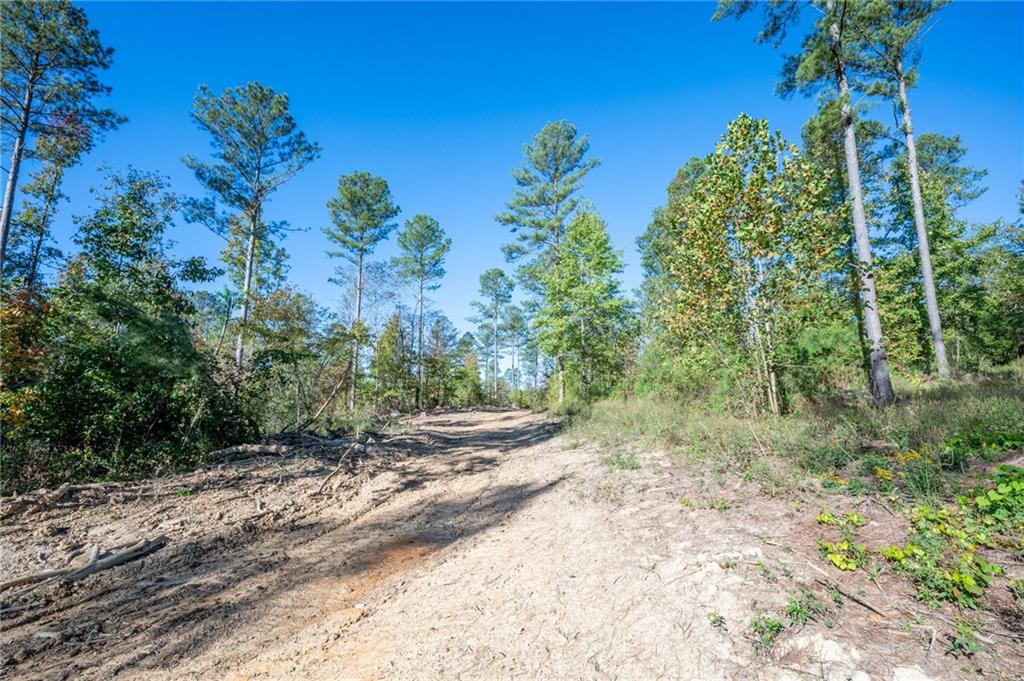 3863 Hwy 140 Ne Rydal Ga 30171 Northeast Rydal, GA 30171 - Photo 6 of 11 a view of a yard with plants and a trees
