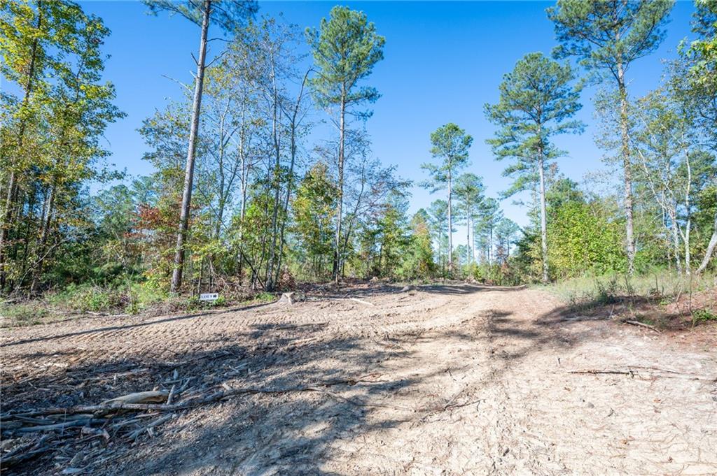3863 Hwy 140 Ne Rydal Ga 30171 Northeast Rydal, GA 30171 - Photo 7 of 11 a backyard of a house with lots of green space