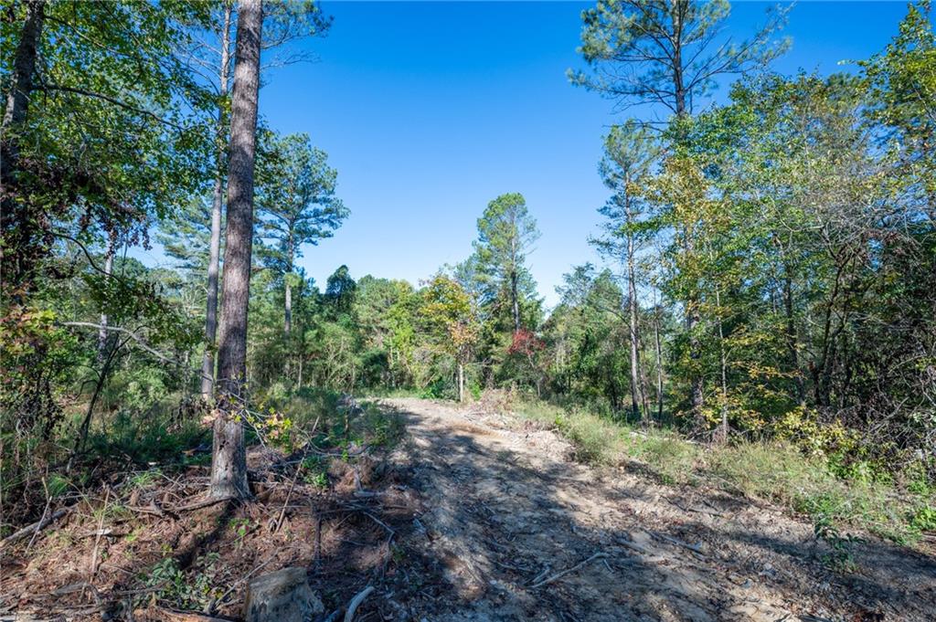 3863 Hwy 140 Ne Rydal Ga 30171 Northeast Rydal, GA 30171 - Photo 8 of 11 a big yard with lots of green space