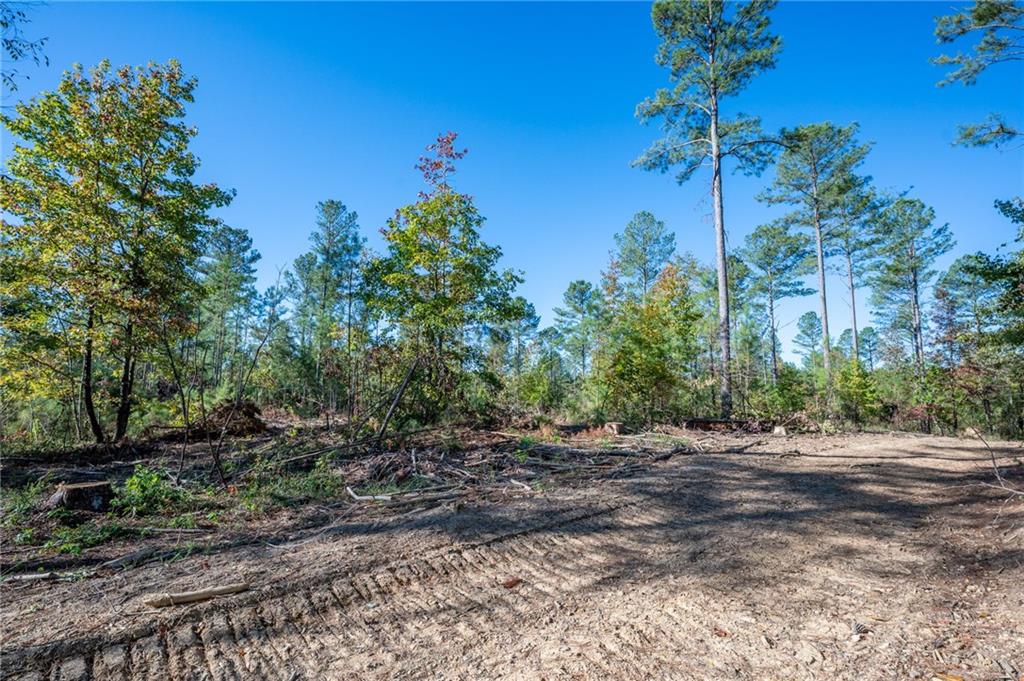 3863 Hwy 140 Ne Rydal Ga 30171 Northeast Rydal, GA 30171 - Photo 10 of 11 a view of a out door space