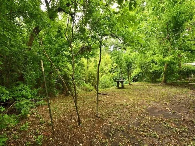 a view of a field with trees in the background