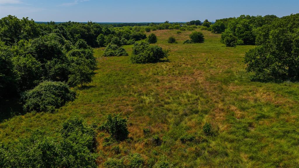 4360 County Road 4360 Decatur, TX 76234 - Photo 8 of 40