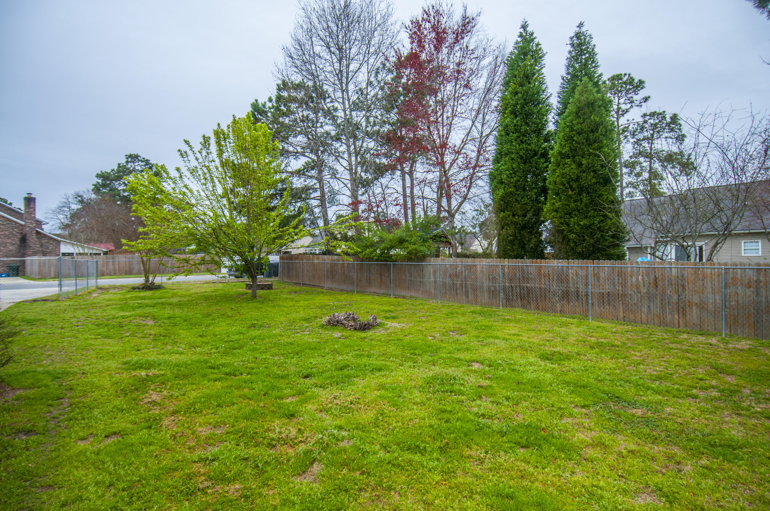 1425 Foxtail Pine Road Ladson, SC 29456 - Photo 51 of 54 _DSC8404.jpg