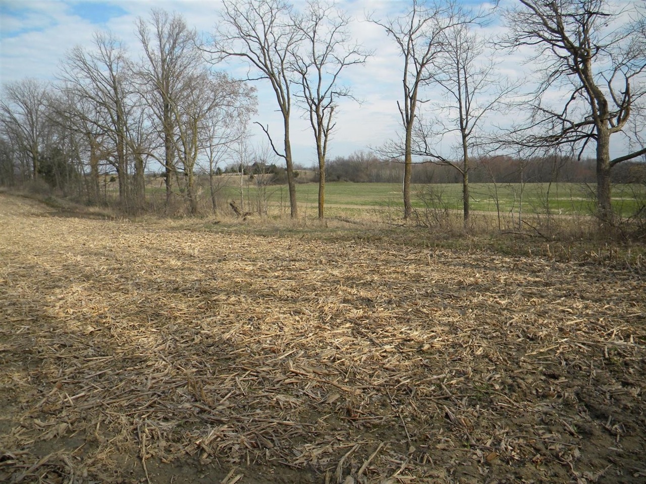0 Saline Waterworks Road Manchester, MI 48158 - Photo 5 of 5