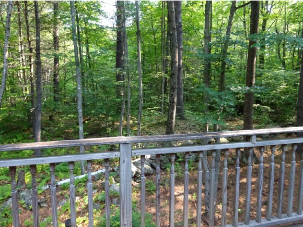 29 Carlotta Road Fitzwilliam, NH 03447 - Photo 14 of 17
