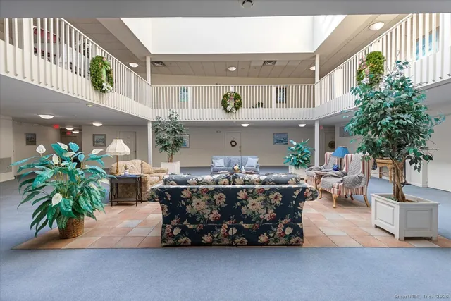 a living room with furniture and a potted plant