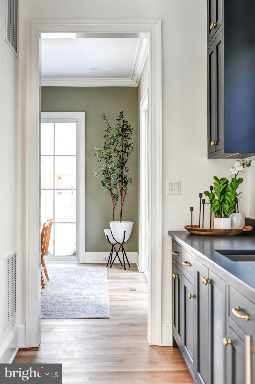 4422 Walsh Street Chevy Chase, MD 20815 - Photo 12 of 93 a view of a living room and a window
