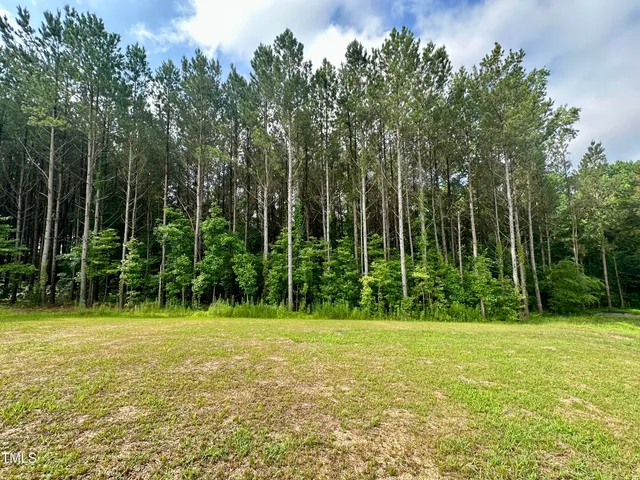 a view of a field with a trees in the background