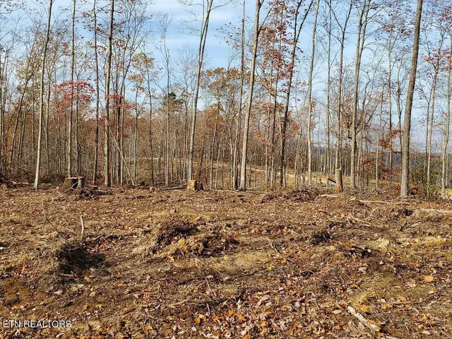 $199,000 | Bull Creek, Huntsville, TN 37756