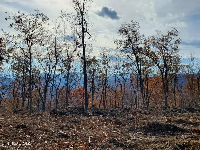 $199,000 | Bull Creek, Huntsville, TN 37756