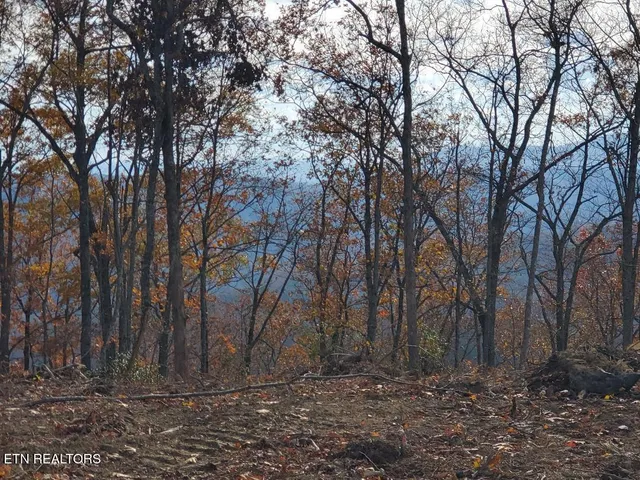 $199,000 | Bull Creek, Huntsville, TN 37756