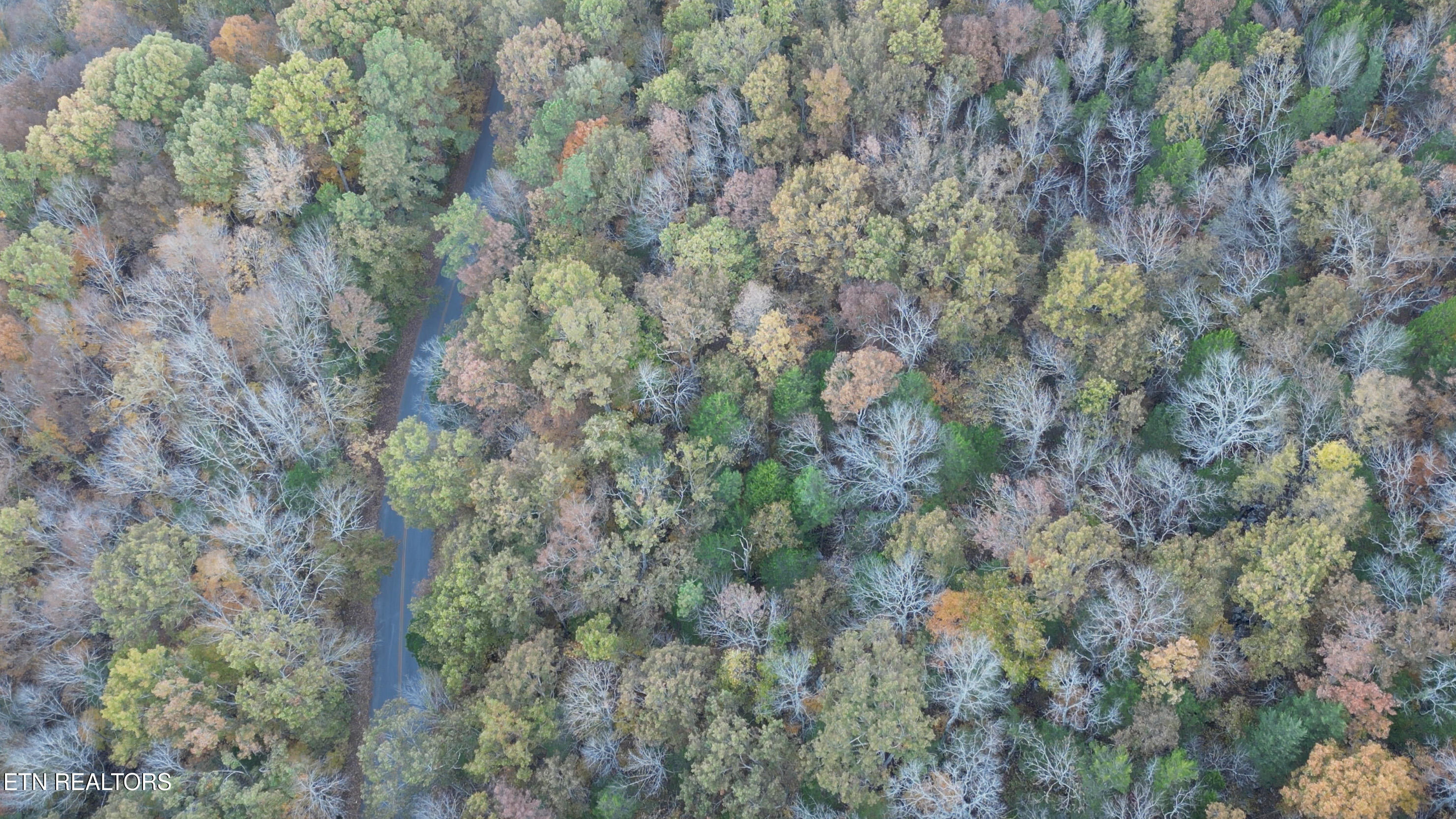Tbd Turners Bend Road McMinnville, TN 37110 - Photo 9 of 15 Drone Pic 12