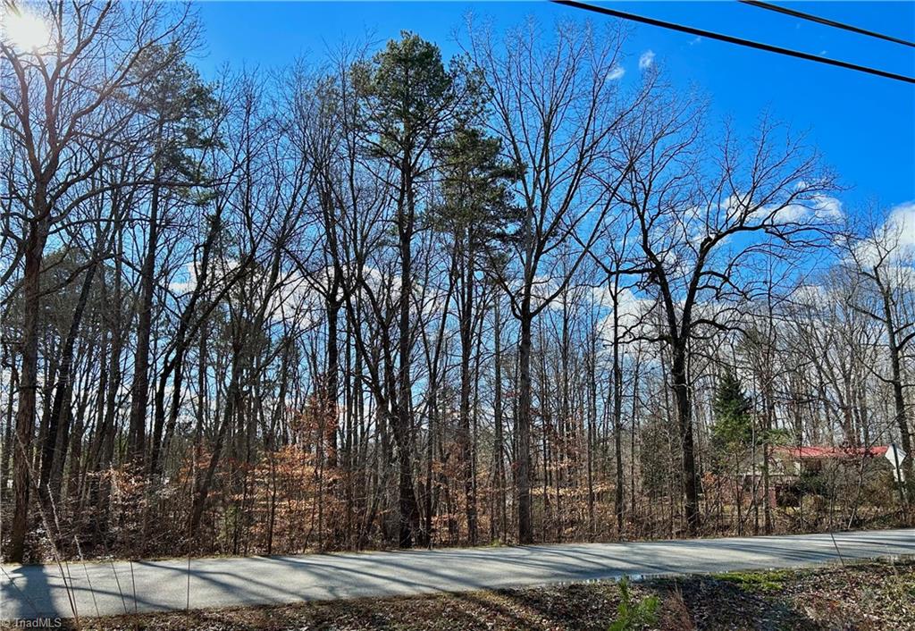 48-49 Morning Glory Road Randleman, NC 27317 - Photo 1 of 9 Gallery Image 1