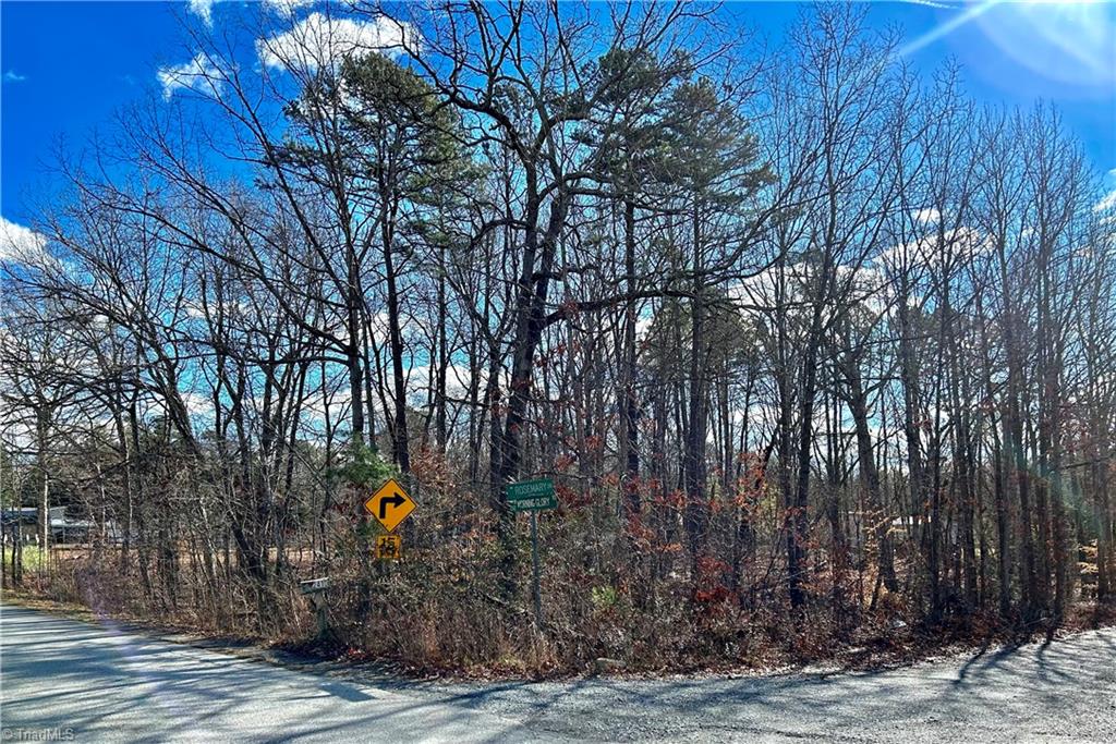 48-49 Morning Glory Road Randleman, NC 27317 - Photo 2 of 9 Gallery Image 2