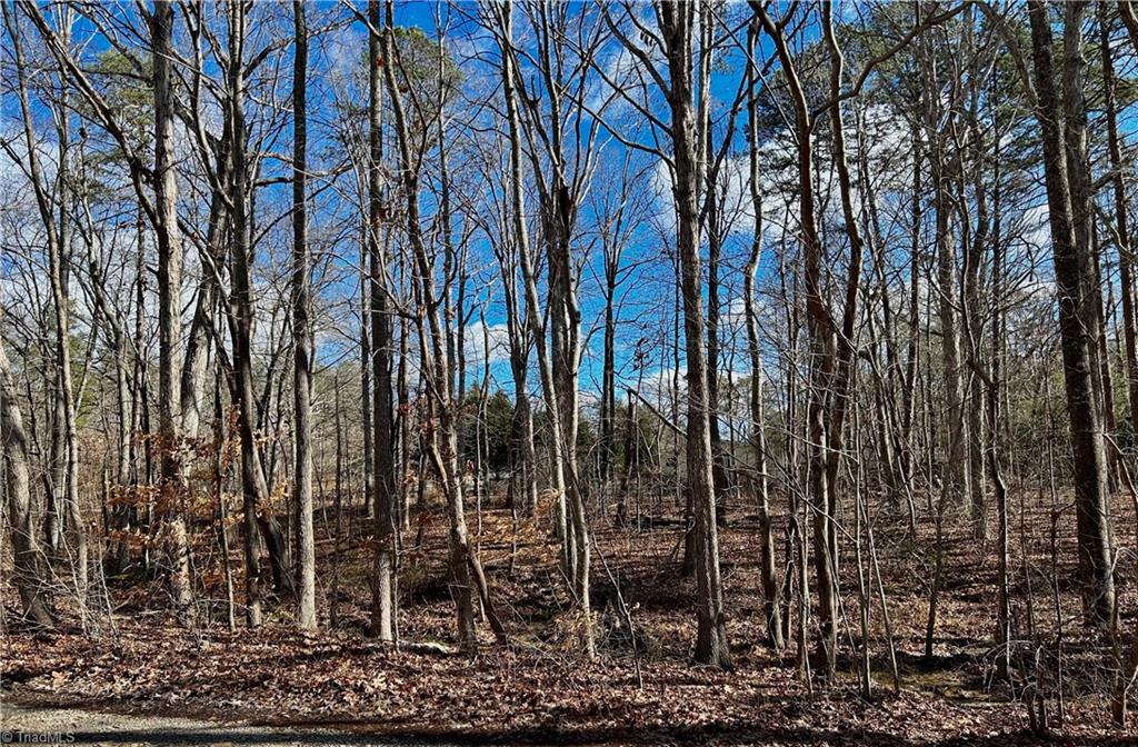 48-49 Morning Glory Road Randleman, NC 27317 - Photo 3 of 9 Gallery Image 3