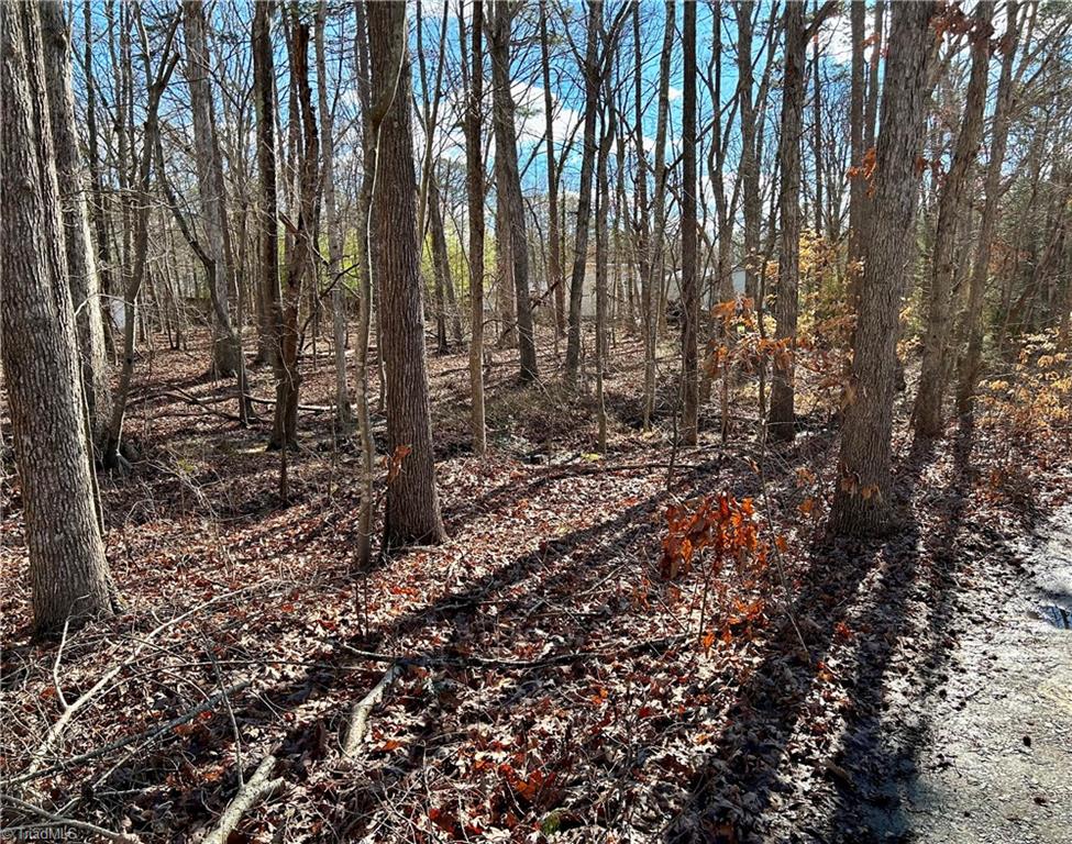 48-49 Morning Glory Road Randleman, NC 27317 - Photo 4 of 9 Gallery Image 4