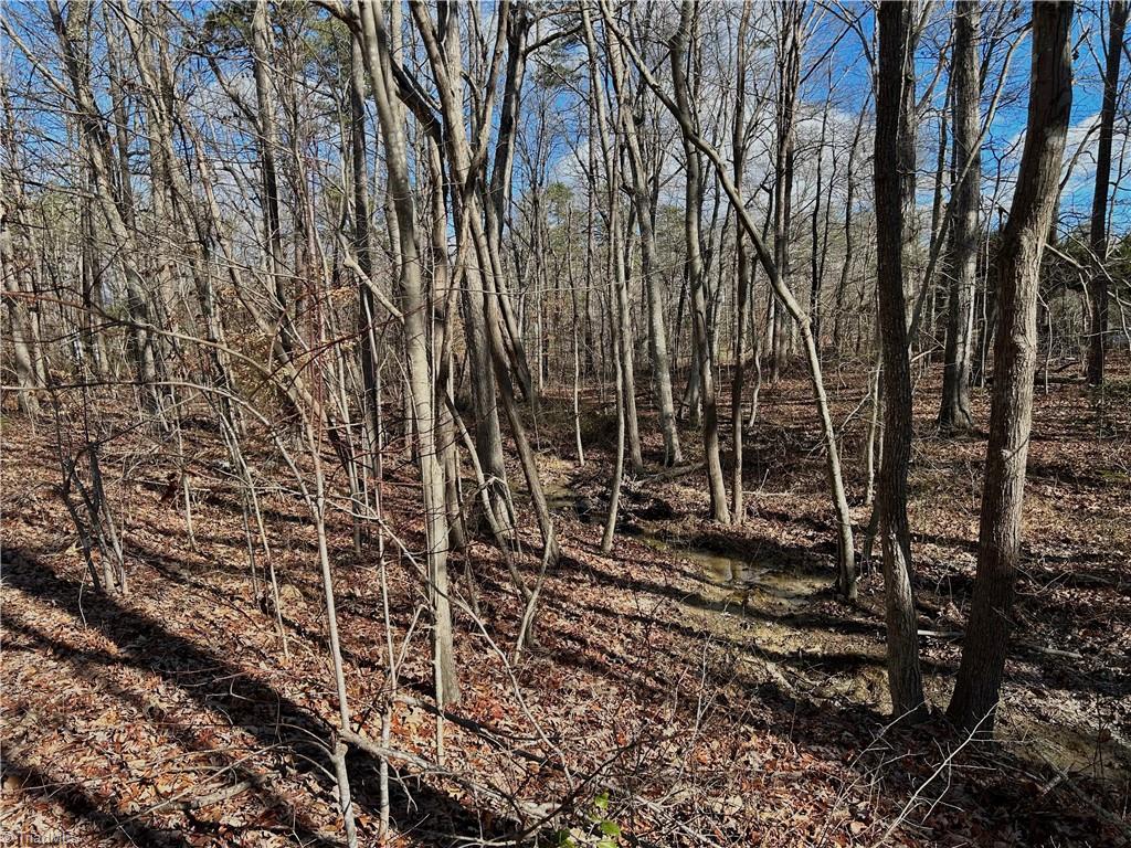 48-49 Morning Glory Road Randleman, NC 27317 - Photo 5 of 9 Gallery Image 5