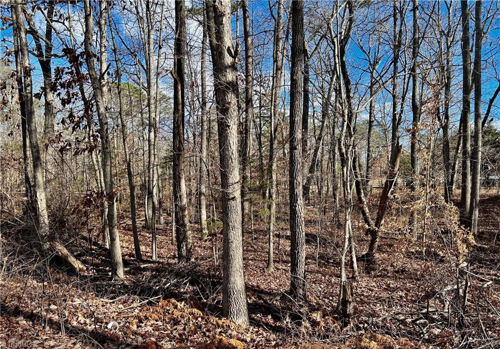 48-49 Morning Glory Road Randleman, NC 27317 - Photo 6 of 9 Gallery Image 6