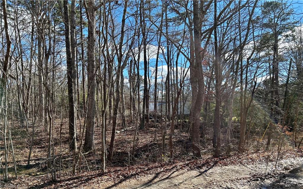 48-49 Morning Glory Road Randleman, NC 27317 - Photo 7 of 9 Gallery Image 7