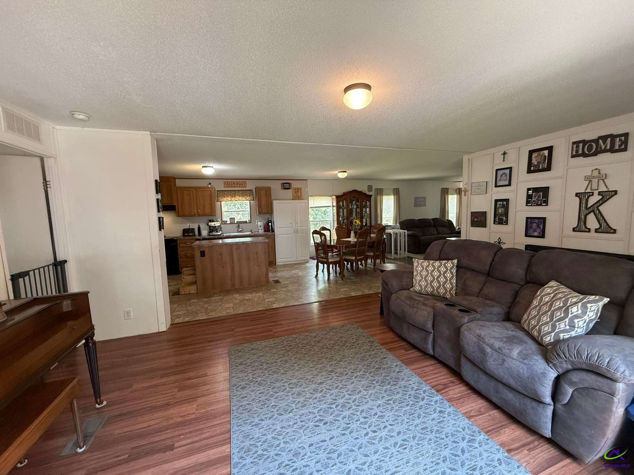 124 North County Line Road Unadilla, GA 31091 - Photo 4 of 49 Gallery Image 4