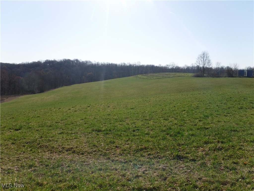 3680 Flint Ridge Road Hopewell, OH 43746 - Photo 27 of 50 Gently sloping from road to tillable hilltop to wooded valley.
