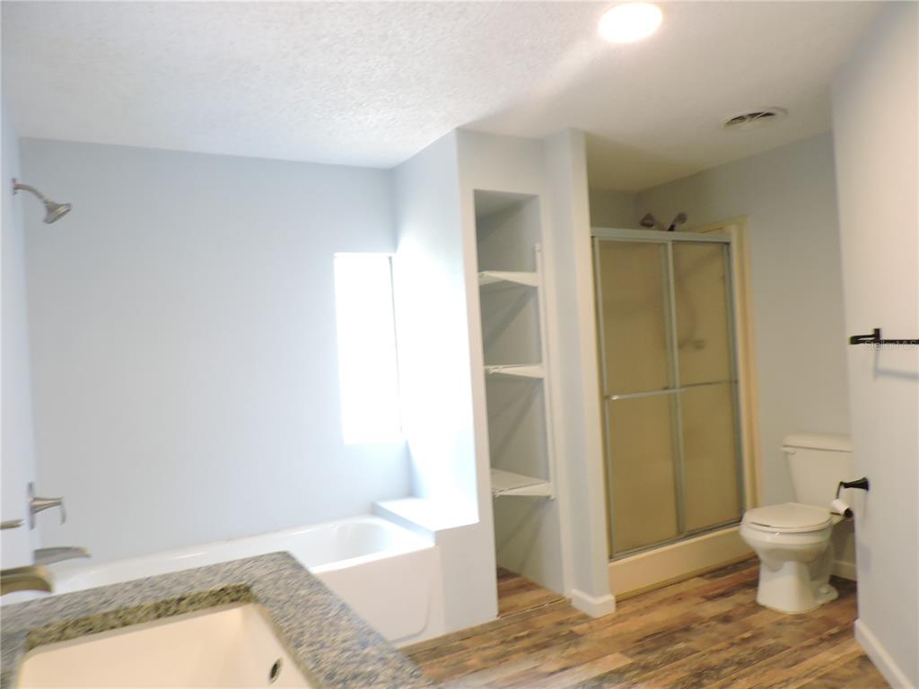 294 Tiger Lake Road Lake Wales, FL 33898 - Photo 27 of 56 a bathroom with a sink and a toilet