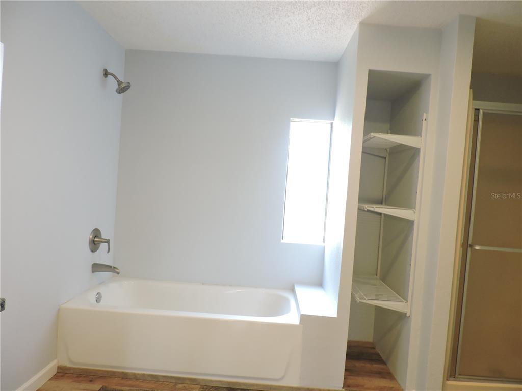 294 Tiger Lake Road Lake Wales, FL 33898 - Photo 28 of 56 a bathroom with a bathtub