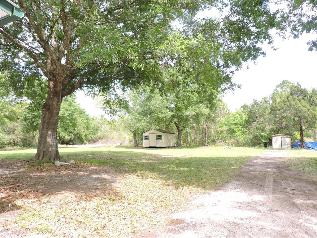 294 Tiger Lake Road Lake Wales, FL 33898 - Photo 44 of 56 a view of a yard with a tree
