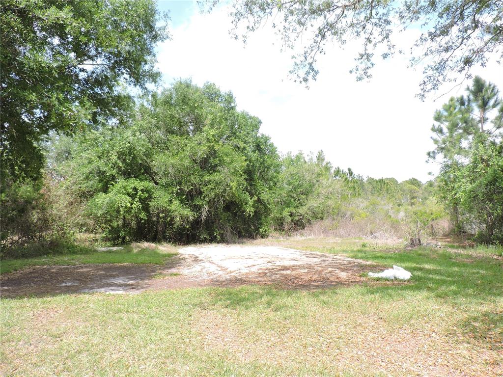 294 Tiger Lake Road Lake Wales, FL 33898 - Photo 48 of 56 a view of a yard with large trees