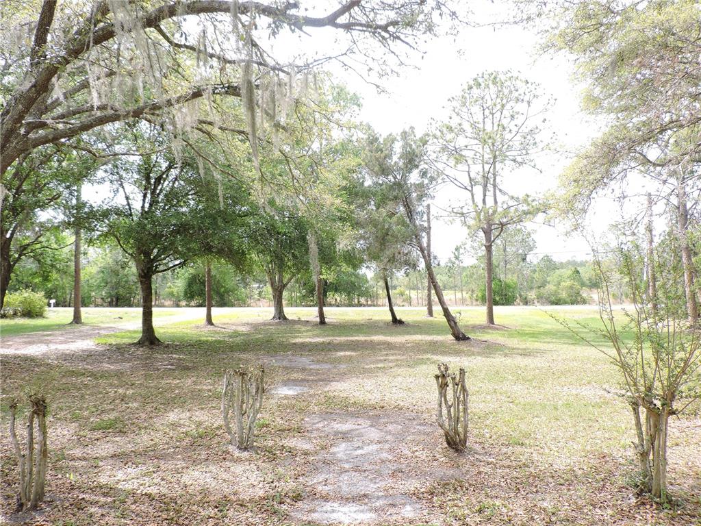 294 Tiger Lake Road Lake Wales, FL 33898 - Photo 49 of 56