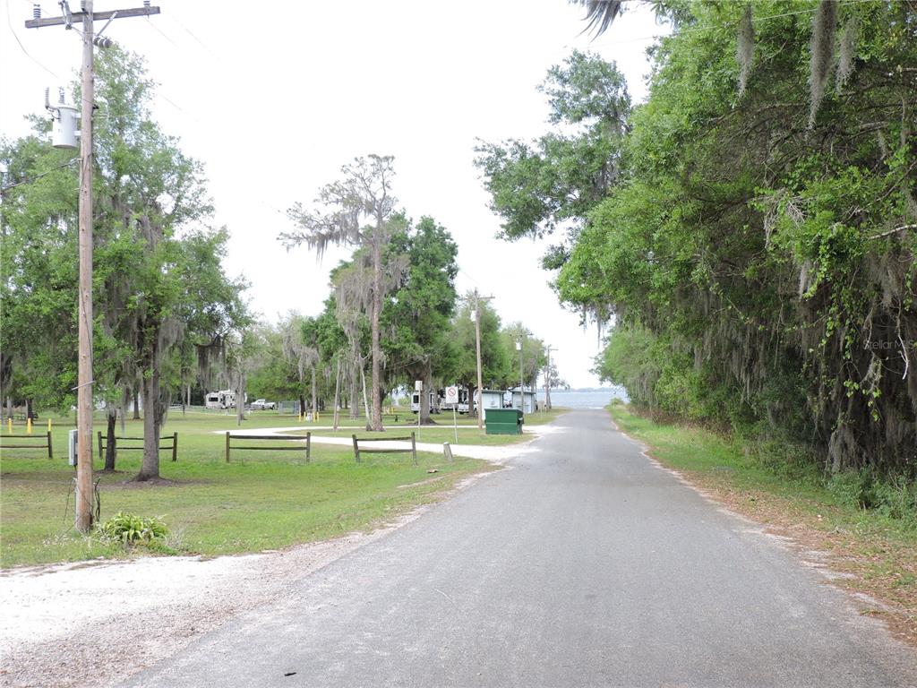 294 Tiger Lake Road Lake Wales, FL 33898 - Photo 52 of 56 a view of a park with large trees