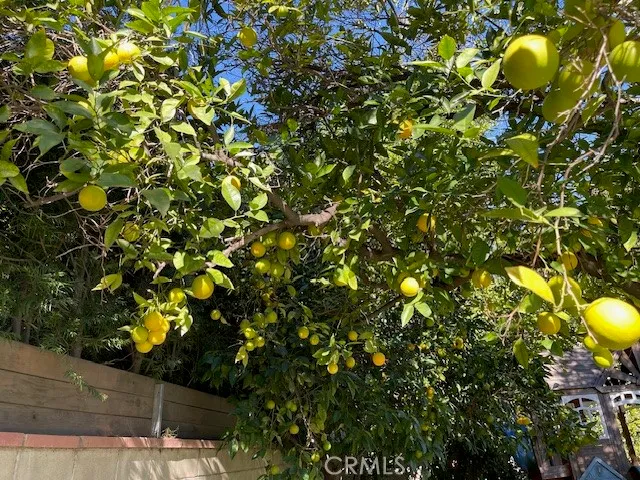 a view of street with parked cars