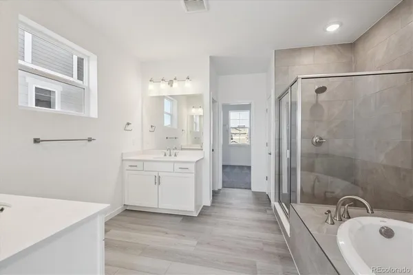 a bathroom with a sink a shower and a mirror