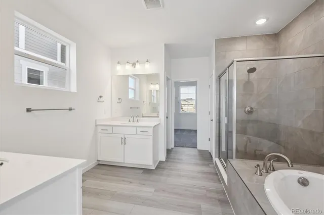 a bathroom with a sink a shower and a mirror