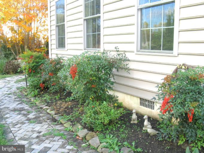310 Greenwood Road Linthicum, MD 21090 - Photo 26 of 26 a flower plants in front of a house