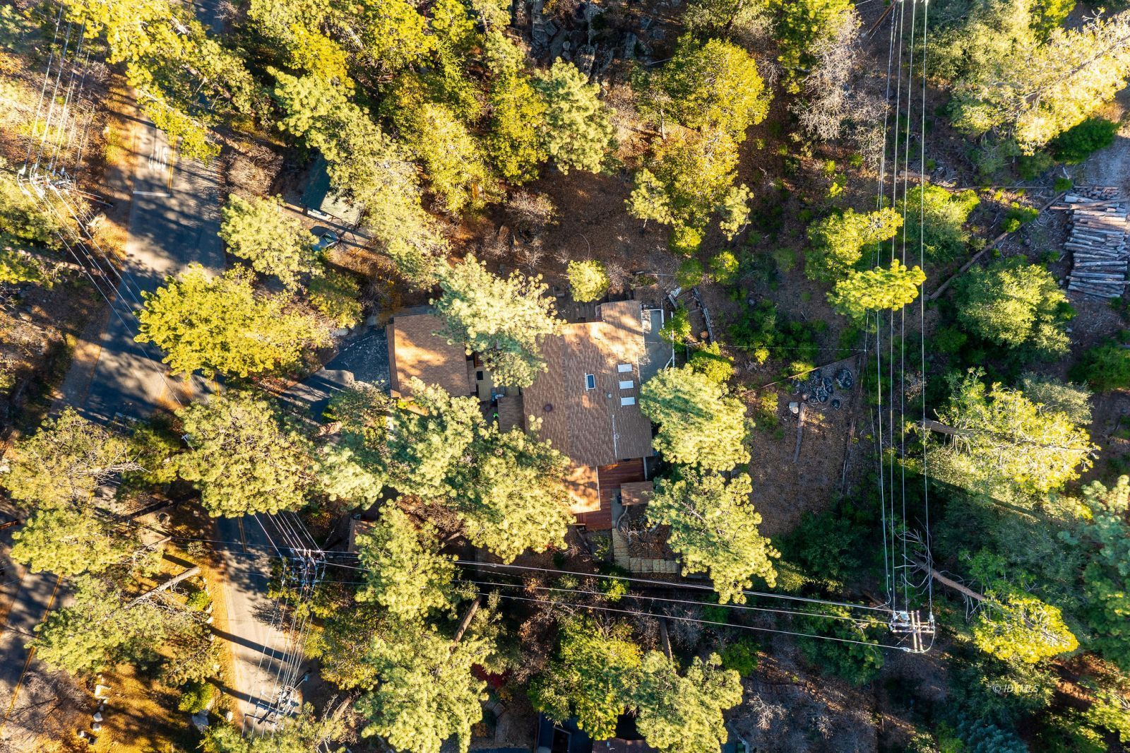 52805 Idyllmont Road Idyllwild, CA 92549 - Photo 52 of 53 a view of a tree
