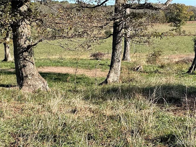 $199,900 | 437 County Road 6420, Salem, MO 65560