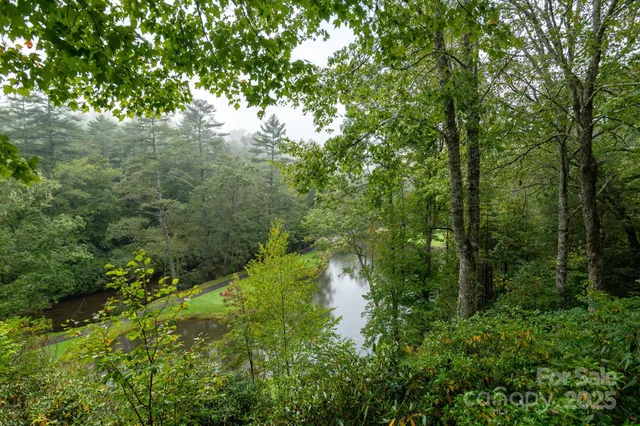 a view of a lush green forest with lots of trees
