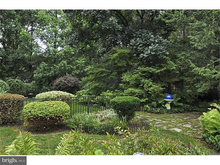 671 Lindley Road Glenside, PA 19038 - Photo 22 of 25 Garden