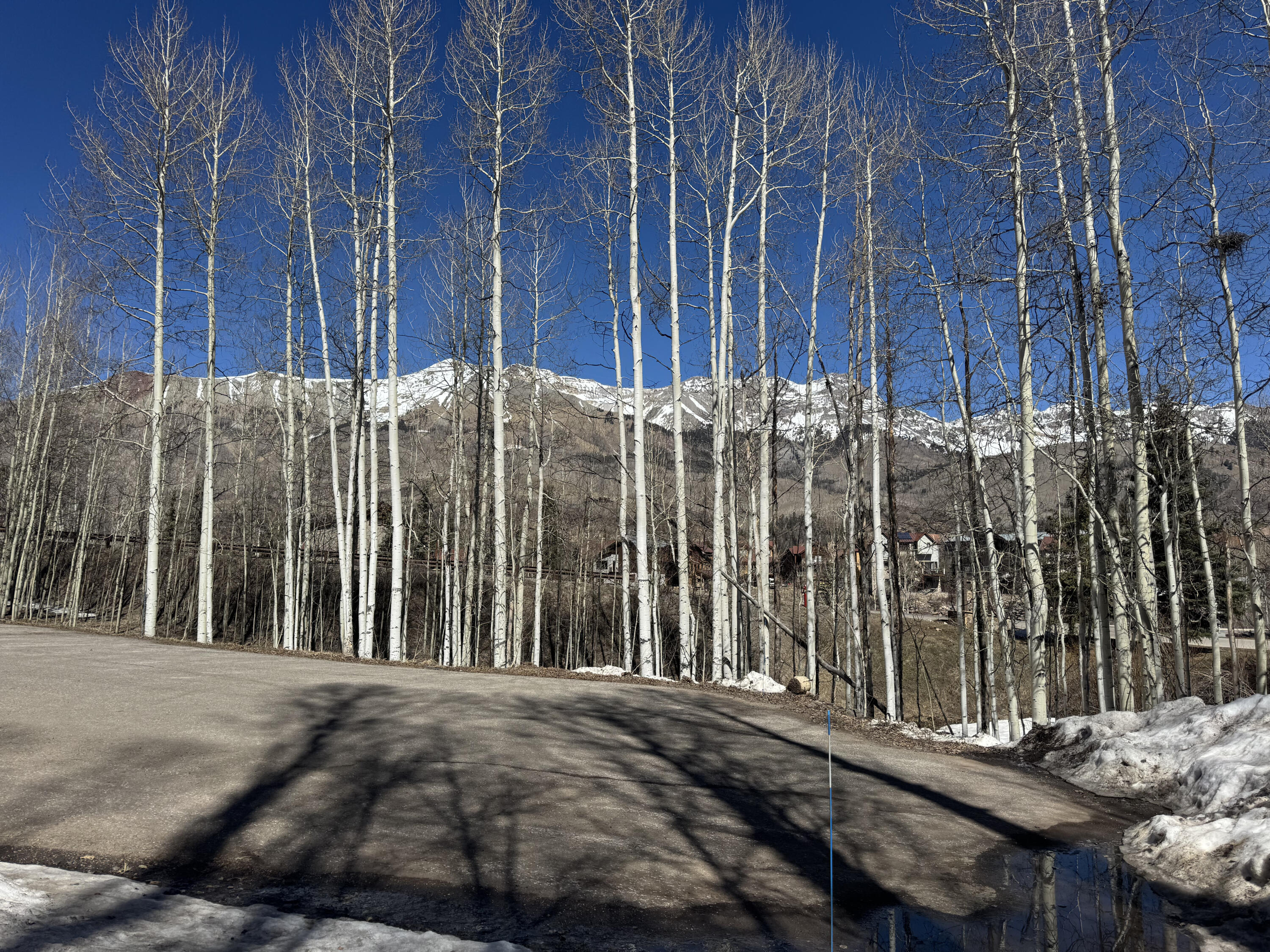 304 Adams Ranch Road Mountain Village, CO 81435 - Photo 6 of 11 IMG_0207