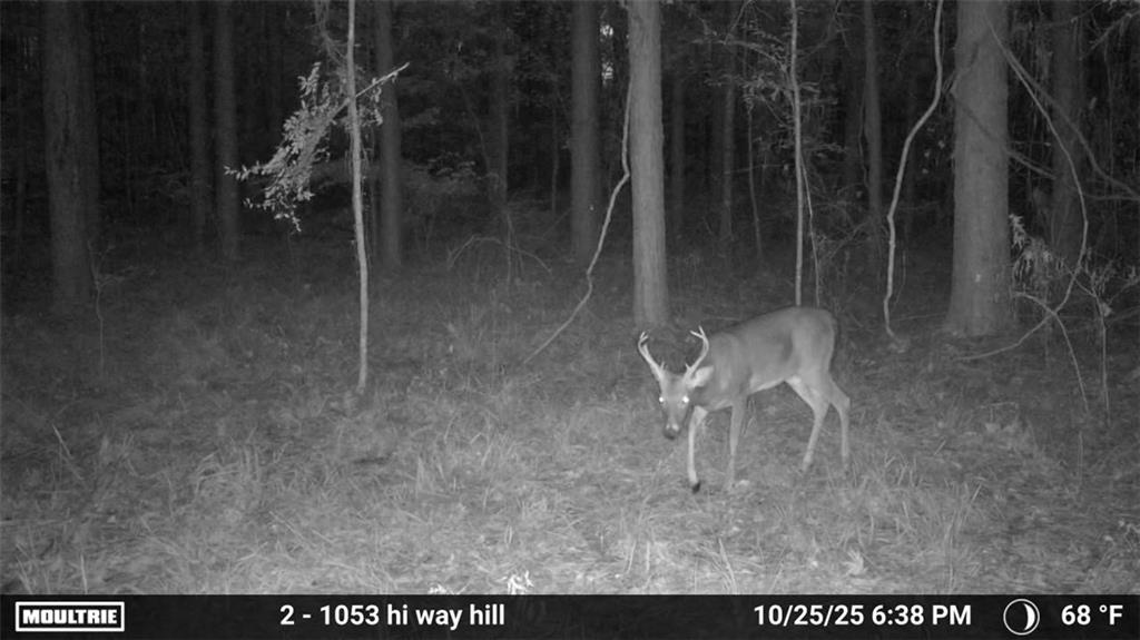 0 Union Church Road Meadville, MS 39653 - Photo 11 of 14