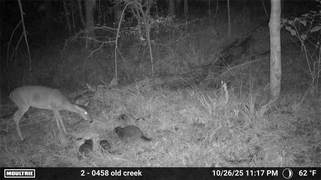 0 Union Church Road Meadville, MS 39653 - Photo 14 of 14