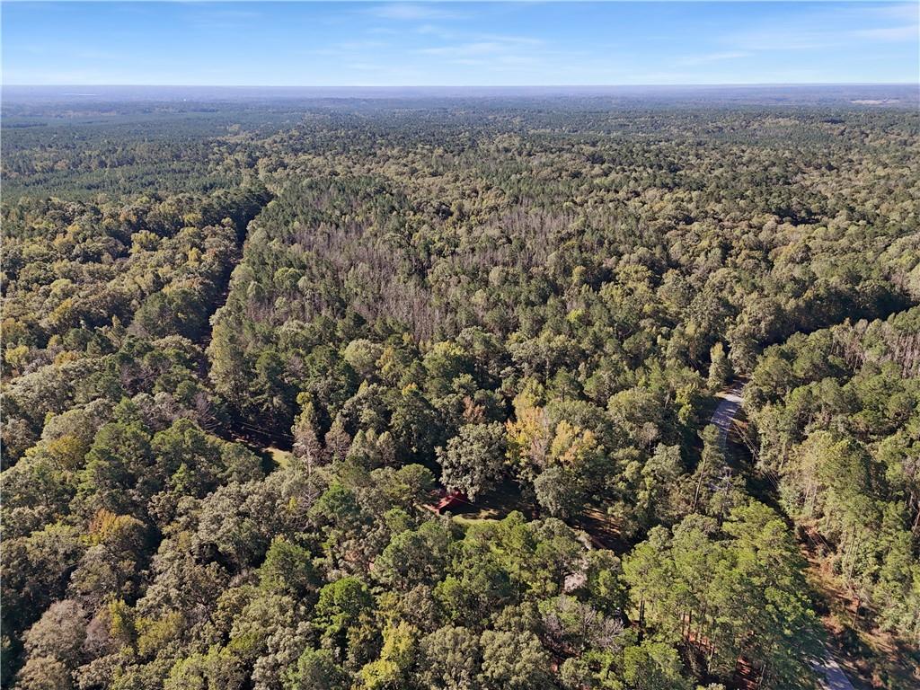 0 Union Church Road Meadville, MS 39653 - Photo 4 of 14