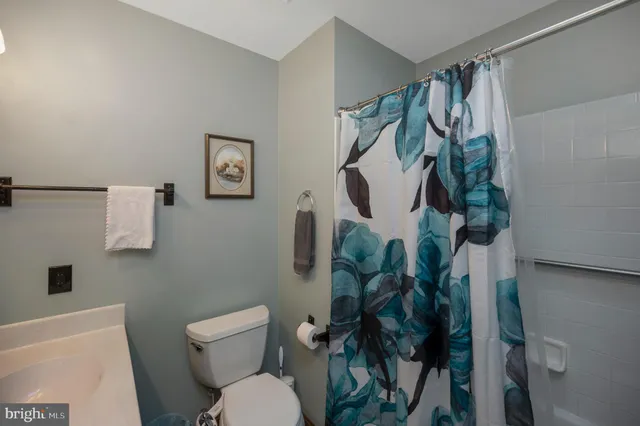a front view of a house with a yard and potted plants