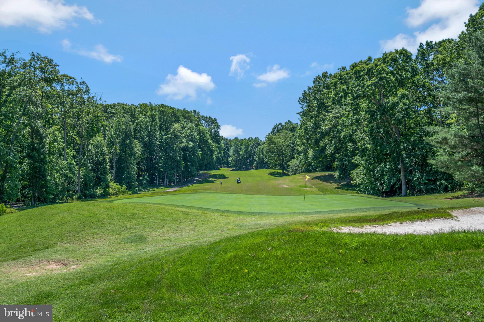 117 Green Street Locust Grove, VA 22508 - Photo 55 of 63 a view of a golf course with a lake