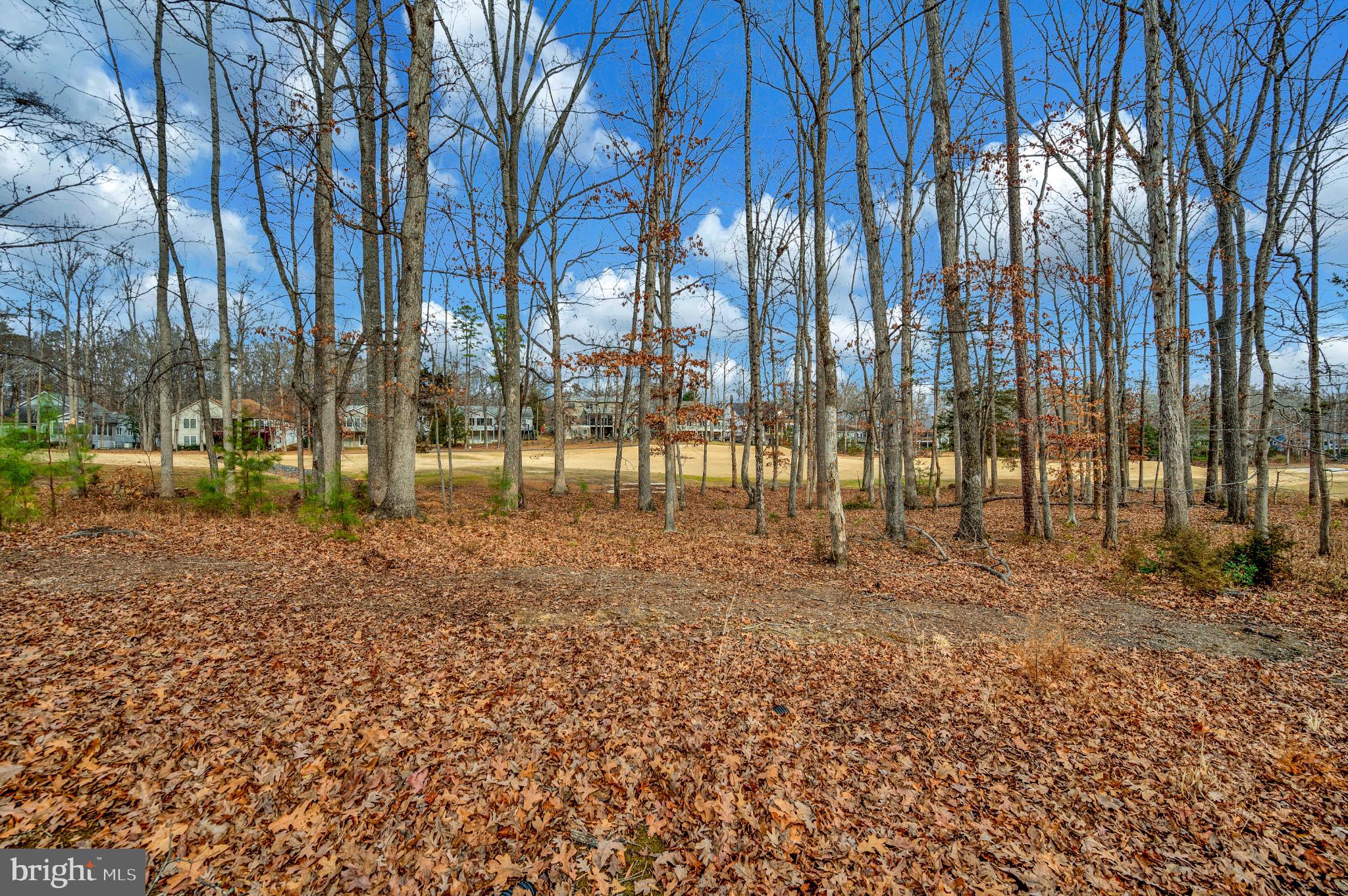 117 Green Street Locust Grove, VA 22508 - Photo 8 of 63 Golf course view