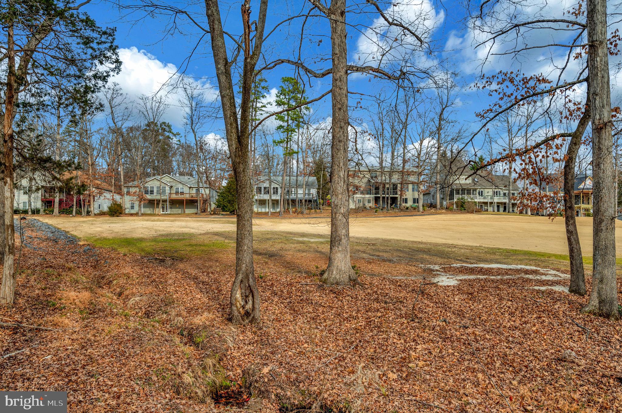 117 Green Street Locust Grove, VA 22508 - Photo 9 of 63 a view of a yard with a tree