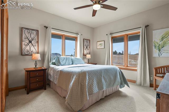 5220 Roundup Ridge Road Colorado Springs, CO 80908 - Photo 19 of 50 Main level guest bedroom
