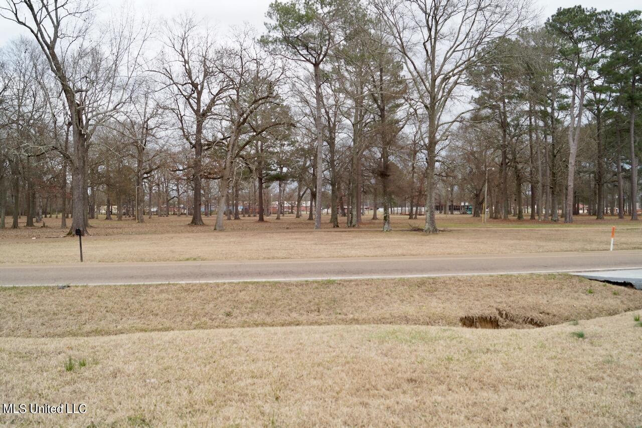 527 King Ranch Road Canton, MS 39046 - Photo 20 of 20 DSC05192
